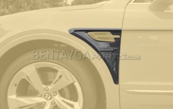 Mansory Bleurion Edition Front Fender Panel for Bentley Bentayga