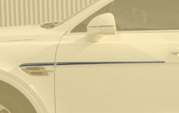 Mansory Bleurion Edition Front Fender & Door Strip Short for Bentley Bentayga